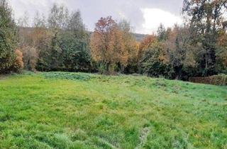 Grundstück zu kaufen in 32429 Minden, Am Rande der Natur – das letzte Grundstück in ruhiger Lage. 2 Doppelhäuser mit 4 WE möglich.