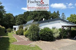 Haus kaufen in 31618 Liebenau, Liebenau-saniertes, ebenerdiges Doppelhaus in ruhiger Lage u. ausgezeichneter Infrastruktur