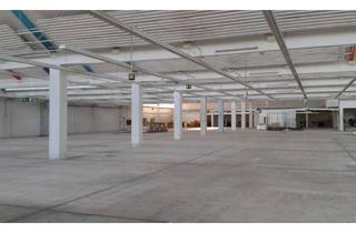 Büro zu mieten in 73760 Ostfildern, 3000 m² Hallenfläche, ebenerdiger Zugang, beheizbar - optional auch Bürofläche