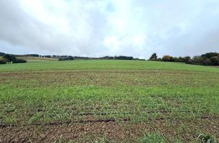 Anlageobjekt in 84051 Essenbach, Ca. 7,592 ha Land- und Forstwirtschaftliche Flächen zum Kauf