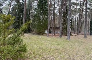 Grundstück zu kaufen in 15370 Petershagen, PROVISIONSFREI| Großzügiges Waldgrundstück in ruhiger Lage – ohne Bauträgerbindung!