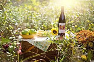 Grundstück zu kaufen in 48485 Neuenkirchen, Damit es kein Traum bleibt-Baugrundstück gesucht