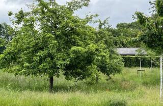 Grundstück zu kaufen in 49536 Lienen, Damit es kein Traum bleibt-Baugrundstück gesucht