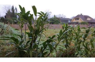 Grundstück zu kaufen in 25469 Halstenbek, Ruhiges Grundstück mit Potenzial