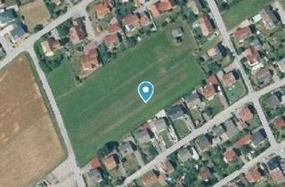 Grundstück zu kaufen in 87746 Erkheim, Grundstück in 87746 Erkheim - mit rechtskräftigem Bebauungsplan