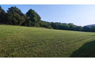 Grundstück zu kaufen in 37176 Nörten-Hardenberg, 5.500m² Grundstück (ca. 2.200m² Bauland) mit tollem Ausblick