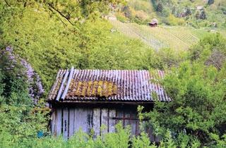 Grundstück zu kaufen in 70839 Gerlingen, Völlig verwildertes Gartengrundstück im Dornröschenschlaf