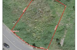 Grundstück zu kaufen in Wilhelmstrße 29, 47495 Rheinberg, Großes Baugrundstück in Ländlicher Lage.