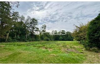 Grundstück zu kaufen in 28355 Oberneuland, Bauland für drei Einfamilienhäuser in Bestlage Oberneulands - auch DHH/RH/ETW denkbar