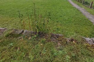 Grundstück zu kaufen in 79639 Grenzach-Wyhlen, Schönes Grundstück in Grenzach! Sofort bebaubar!