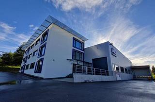 Büro zu mieten in Bienenhofweg, 95326 Kulmbach, Büro-/Praxisräume optional mit Lager-/Produktionshalle