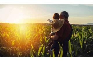 Immobilie kaufen in 85296 Rohrbach, Landwirtschaftliche Fläche in Fahlenbach