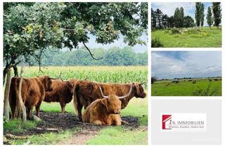 Immobilie kaufen in 15306 Seelow, Bauernhof in Seelow – Viel Land, Natur pur im Landkreis Märkisch-Oderland