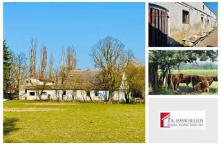 Immobilie kaufen in 15306 Seelow, Bauernhof in Seelow – Viel Land, Natur pur mit Haus und Nebenanlagen!