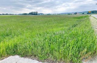 Gewerbeimmobilie kaufen in An Der Koppenbacher Straße, 86579 Waidhofen, Jetzt sichern: Gut gelegenes Gewerbegrundstück nahe B 300