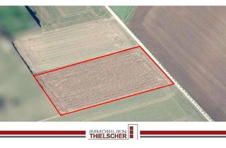 Gewerbeimmobilie kaufen in 52531 Übach-Palenberg, Landwirtschaftliche Fläche in Übach-Palenberg zu verkaufen