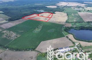 Gewerbeimmobilie kaufen in 15374 Müncheberg, Attraktive arrondierte Ackerfläche (ca. 24 ha) östl. von Berlin - 50% Miteigentumsanteil