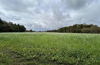 Gewerbeimmobilie mieten in 46325 Borken, Ca. 2,3542 ha Ackerland in Raesfeld