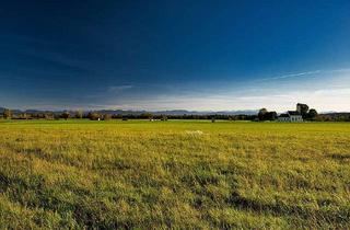 Gewerbeimmobilie kaufen in 86836 Obermeitingen, Landwirtschaftliche Fläche / Acker in guter Lage Obermeitingen