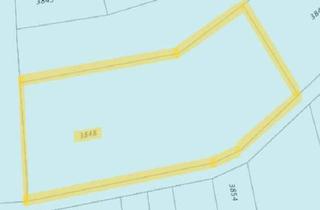 Gewerbeimmobilie kaufen in 76751 Jockgrim, !!!Die Gelegenheit - Attraktiver Kaufpreis - Provisionsfrei!!!