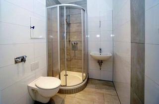 Immobilie mieten in August-Bebel-Straße, 08525 Plauen, modern sanierte 1 Raum -Seniorenwohnung in der City von Plauen