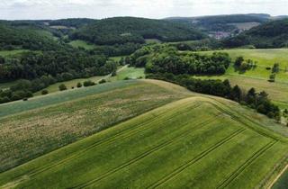 Grundstück zu kaufen in 67806 Katzenbach, Landwirtschaftsfläche zum Verkauf
