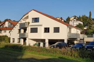 Wohnung mieten in 74232 Abstatt, Charmante Wohnung mit Balkon und Ausblick