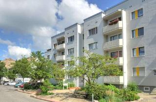 Wohnung mieten in Fleischerstraße 38, 06108 Halle, Nachmieter zum 01.12.25 gesucht