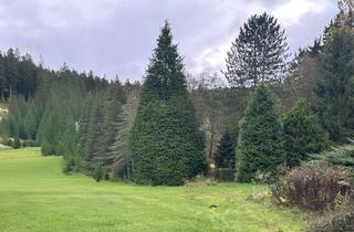 Wohnung mieten in 09439 Amtsberg, Idyllische 2-Zimmer-Wohnung in grüner und ruhiger Lage von Amtsberg