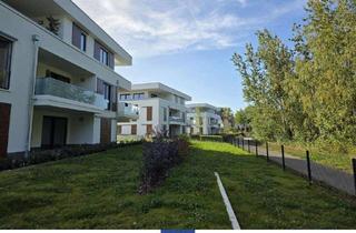 Wohnung mieten in 04720 Döbeln, Stilvolles Wohnen im Neubau! Ruhig und grün, Terrasse, 2 Bäder, Fußbodenheizung!
