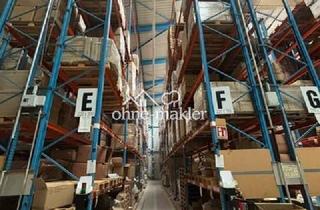 Büro zu mieten in 68799 Reilingen, Großes Hochregallager mit optionaler Bürofläche