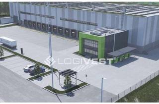 Gewerbeimmobilie mieten in 06766 Bitterfeld-Wolfen, Projektierter Neubau einer Lager- und Logistikhalle direkt an der A9!