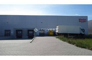 Gewerbeimmobilie mieten in 71299 Wimsheim, Moderne Fertigungshalle mit Kranbahn und flexibler Nutzung | Top-Logistikregion Stuttgart