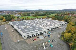 Gewerbeimmobilie mieten in 33758 Schloß Holte-Stukenbrock, Im Alleinauftrag: Schloß-Holte, ca. 35.500 m² teilbare Hallenfläche nahe der A33 und A2 zu vermieten