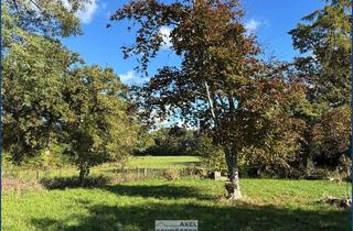 Grundstück zu kaufen in 29336 Nienhagen, Idyllisches Fleckchen Erde sucht liebevolle Bewohner!