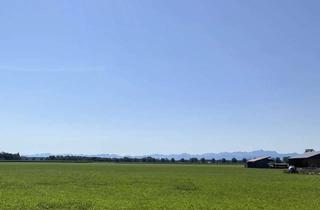 Grundstück zu kaufen in 86899 Landsberg, Grundstück mit Bergblick in Erpfting