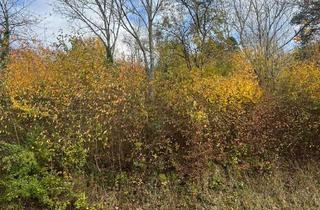 Grundstück zu kaufen in 53474 Bad Neuenahr-Ahrweiler, Baugrundstück in ruhiger Lage von Bachem – voll erschlossen