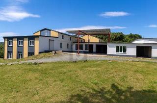 Gewerbeimmobilie kaufen in 09114 Chemnitz, Chemnitz - LAGER, WOHNEN & AUTOHANDEL IN EINEM