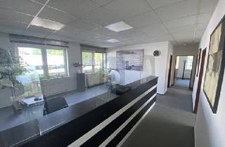 Büro zu mieten in 34253 Lohfelden, Lohfelden - PERFEKTE LAGE FÜR IHRE BÜROTÄTIGKEITEN