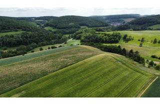 Gewerbeimmobilie kaufen in 67806 Katzenbach, Landwirtschaftsfläche zum Verkauf