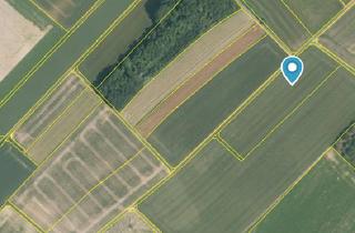 Immobilie kaufen in 94562 Oberpöring, Acker bei Oberpöring 7738 m²