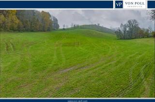 Immobilie kaufen in 94149 Kößlarn, Landwirtschaftliche Wiesenfläche auf mehr als 4,5 ha erweiterbar