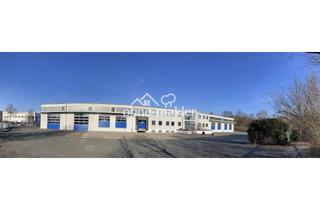 Büro zu mieten in 95444 Bayreuth, Lager- und Logistikhallen mit hellen Büroräumen ges. 2300m2 + Außenfläche ca. 5000m2