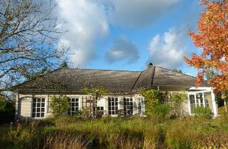 Einfamilienhaus kaufen in 27336 Rethem, Rethem (Aller) - ++ ohne Makler ++ großzügiges barrierefreies Einfamilienhaus