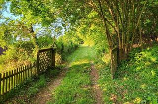 Haus kaufen in 66701 Beckingen, Beckingen - Natur pur: Wohngebäude, Bauplatz, 5ha Wald im Saarland- Beckingen