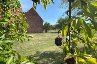 Haus kaufen in 03130 Spremberg, Spremberg - VIER-SEITEN-HOF in Spremberg direkt vom Eigentümer