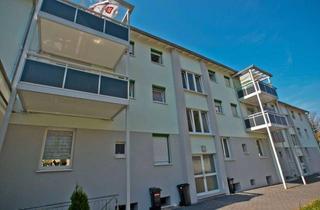 Wohnung mieten in Amorbacher Straße 22, 74172 Neckarsulm, Große Ein-Zimmer-Wohnung in ruhiger Lage