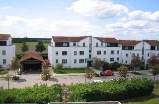 Wohnung mieten in Andromedastr., 16321 Bernau, Bernau b. Berlin, schöne helle 2-Raum-Wohnung