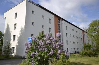 Wohnung mieten in Thiemstraße 56 b, 03046 Spremberger Vorstadt, *** Ruhige 1 1/2 -Zimmerwohnung zu vermieten ***