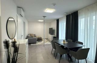 Penthouse mieten in Am Kirschberg 11, 67550 Herrnsheim, Neuwertige 2-Zimmer Penthousewohnung